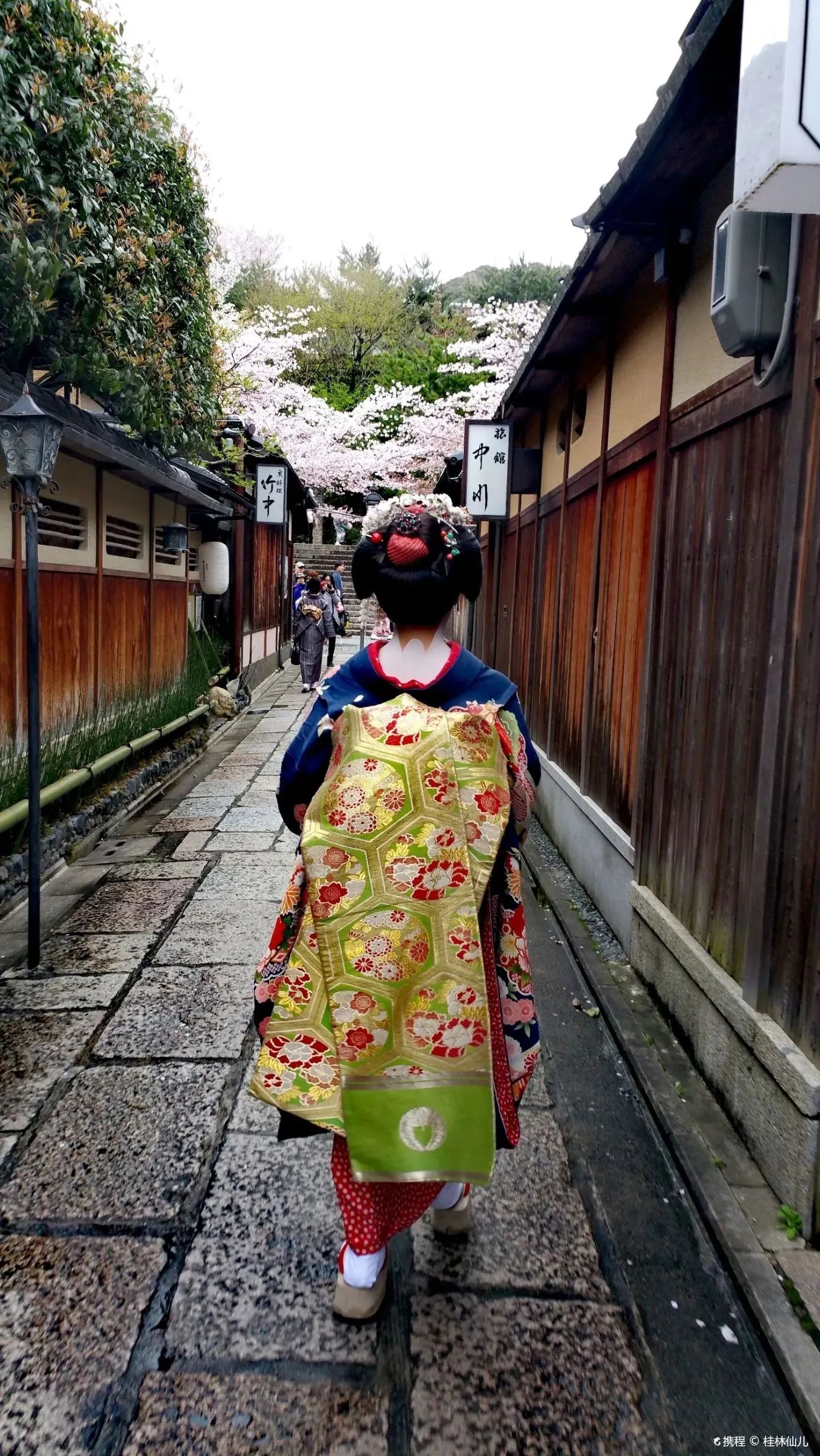 【#旅途故事】从祇园到高台寺,只因多看了你几眼