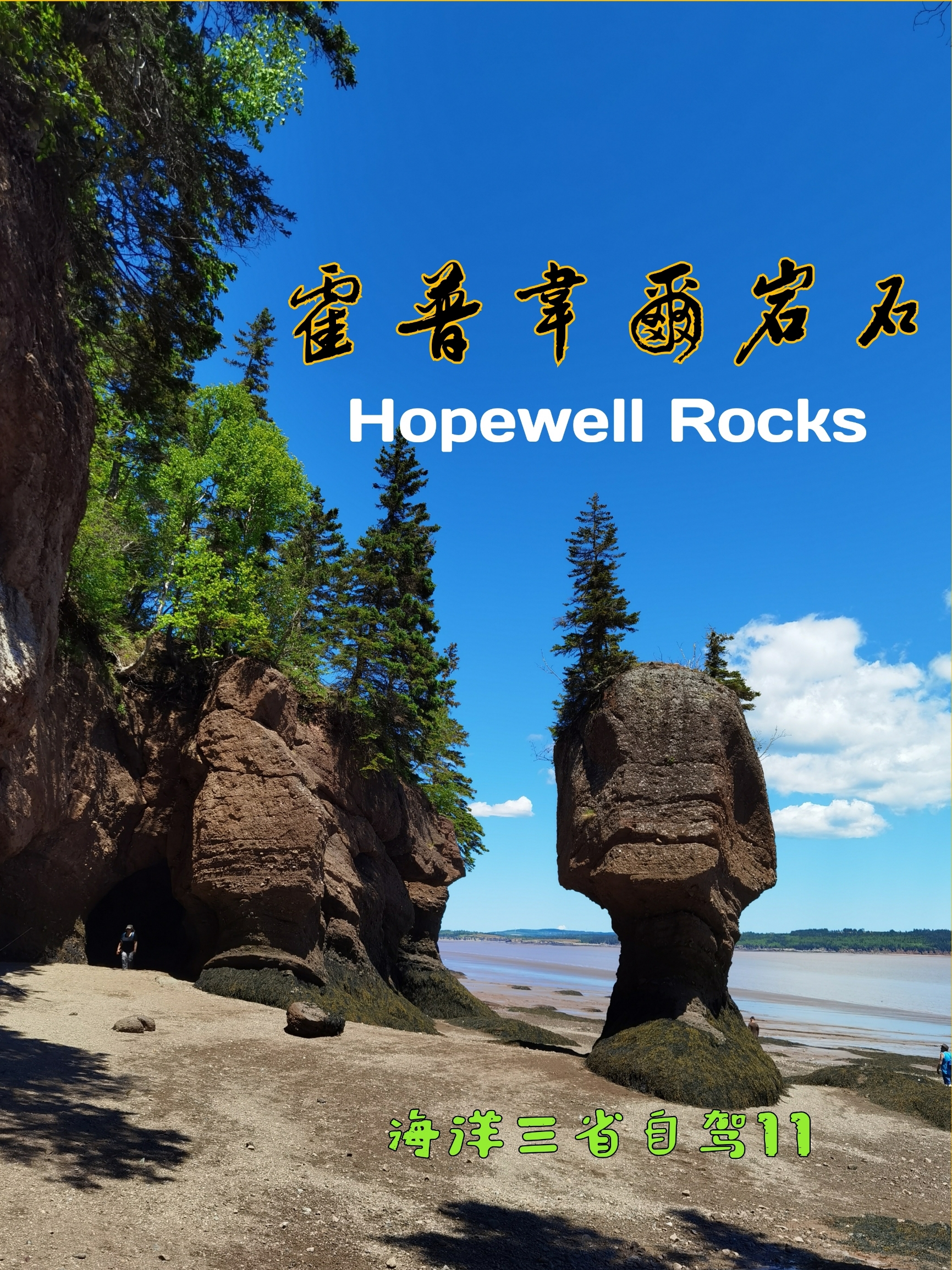 霍普韦尔岩石：举世闻名“花盆岩”石林景观