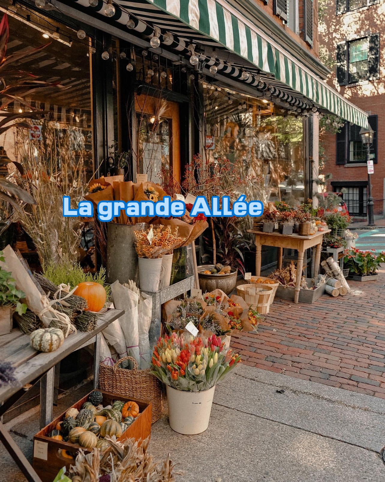 Le Bureau de Poste餐厅图片