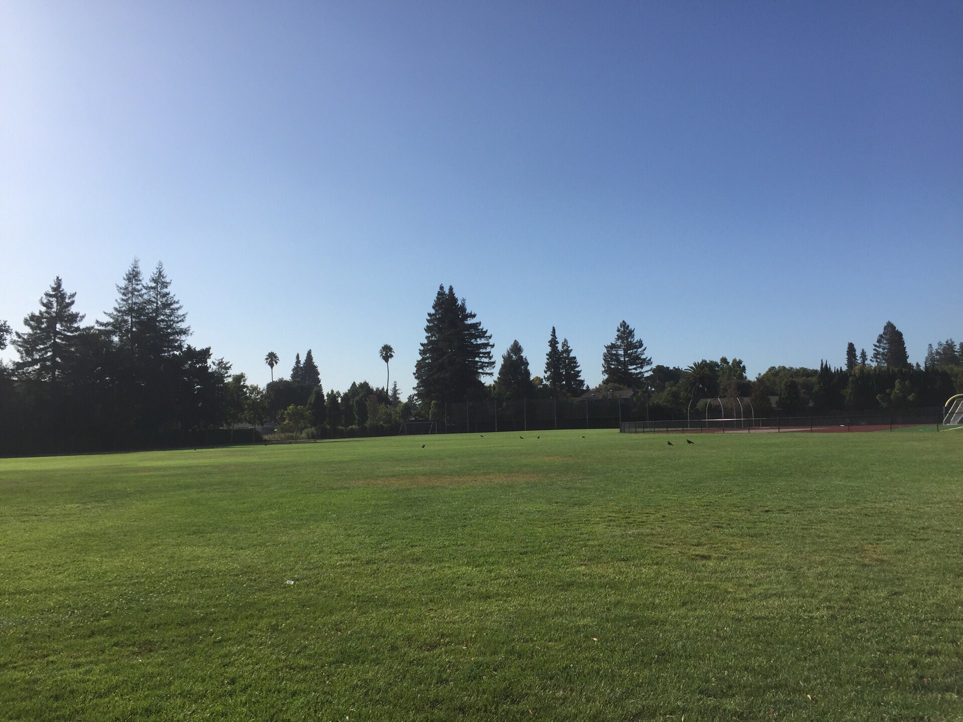 硅谷学校草地