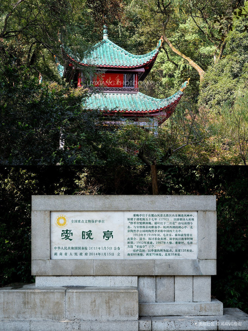 总要来趟岳麓山吧