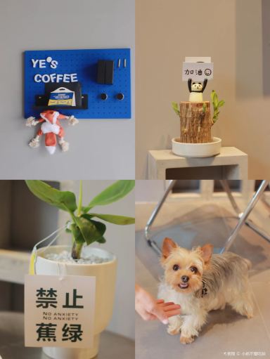Gallery 2