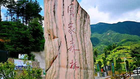 龍山森林公園