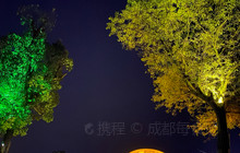 景龍軒湖畔火鍋宮殿(隆丰店)餐厅图片