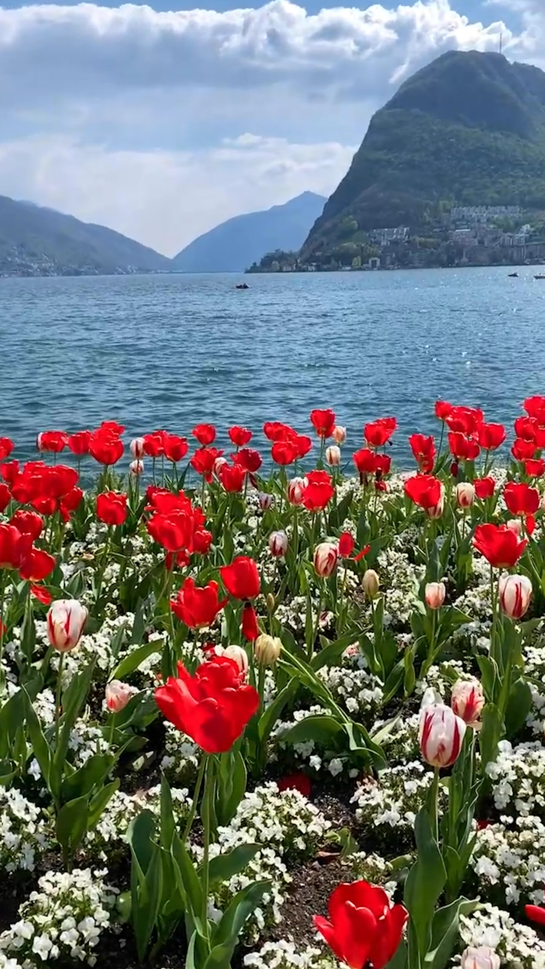 春日瑞士卢加诺湖