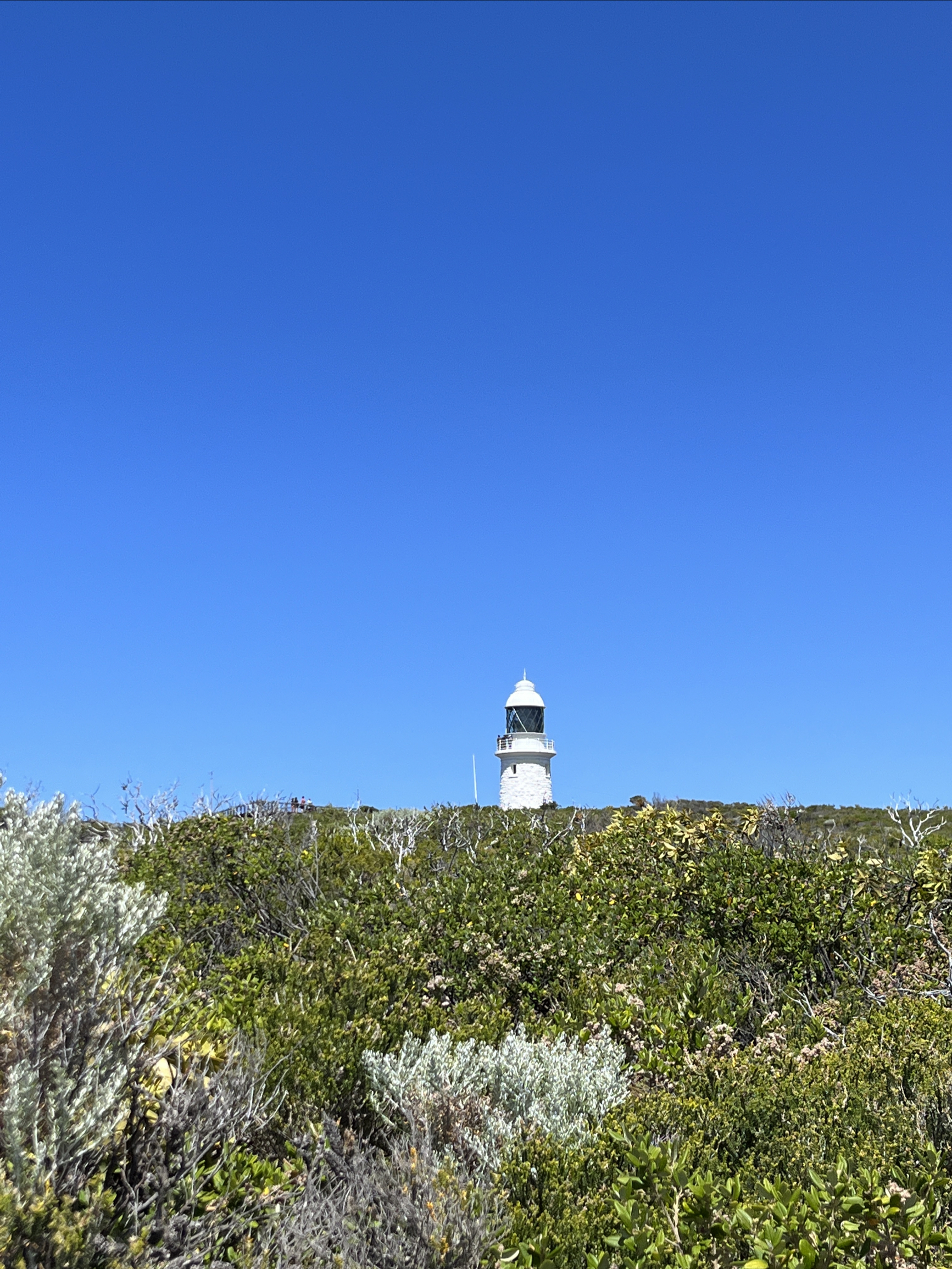 Day5 西澳-Cape Naturaliste