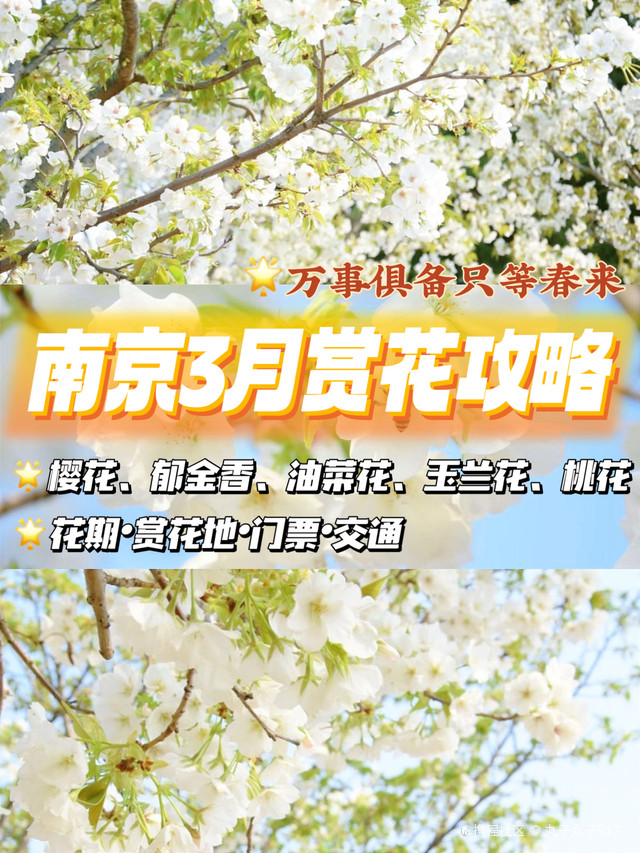 重庆地票市场：城市空间与生态环境的新平衡点