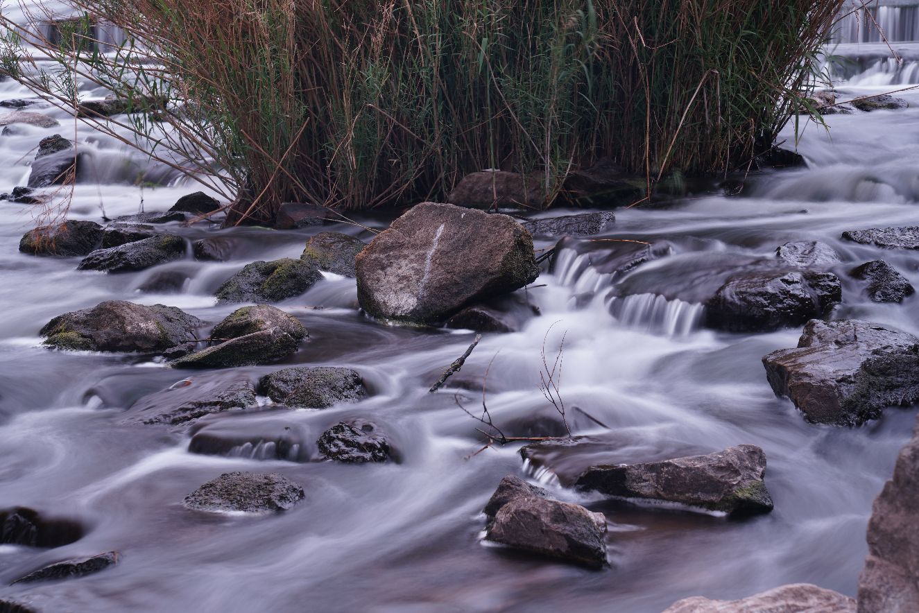 The crocodile river