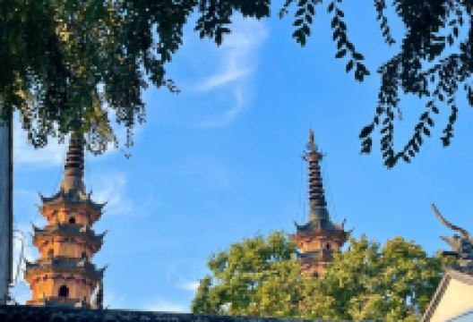 苏州市皮市街花鸟工艺品市场购物图片