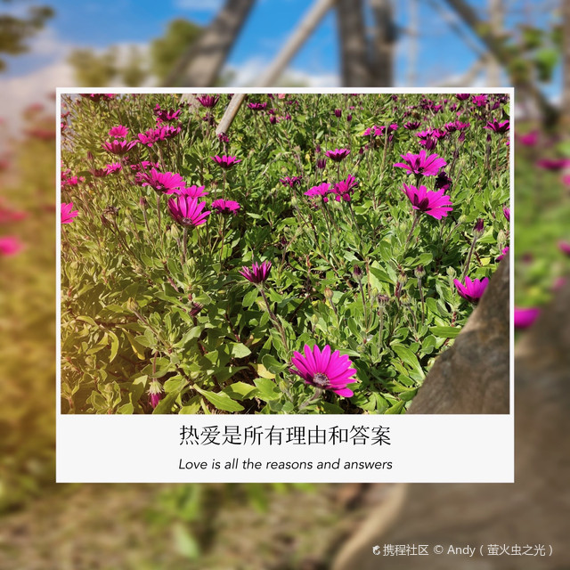 纳古小海公园～冬日喂海鸥必去_纳古镇小海公园攻略