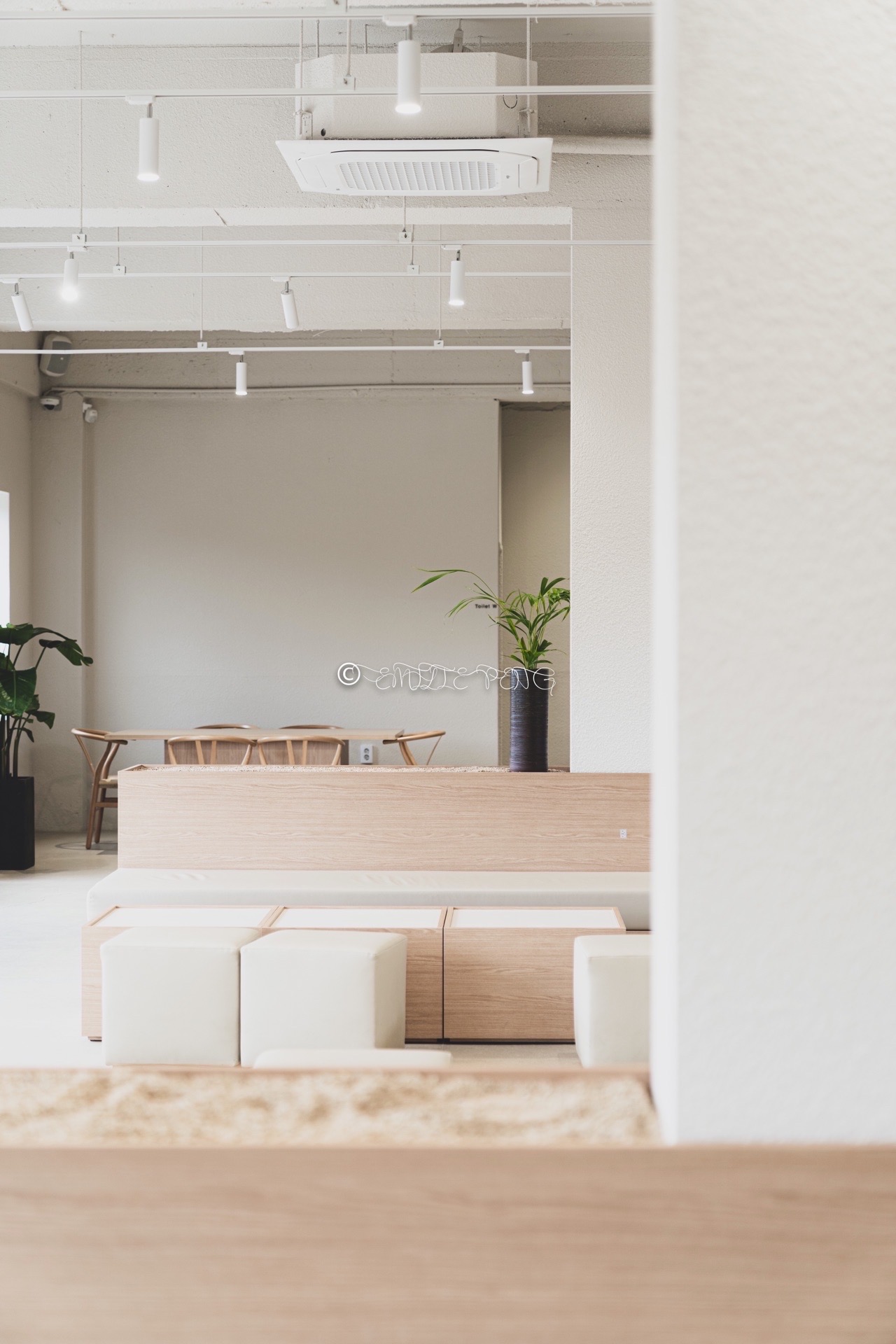 Bossa Nova Coffee Roaster