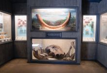 Canton Historical Museum景点图片