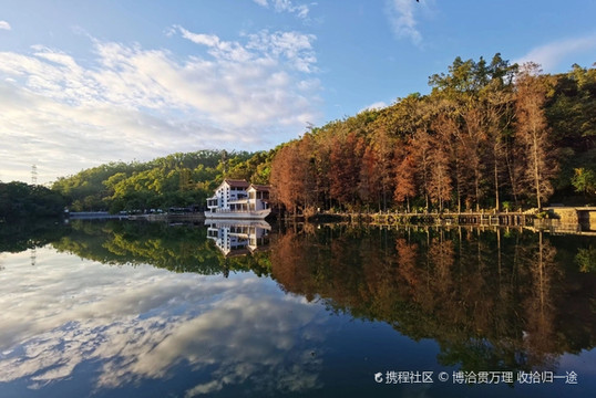 深圳仙湖植物园