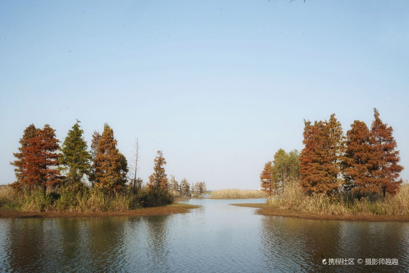 上黄镇长荡湖湿地公园