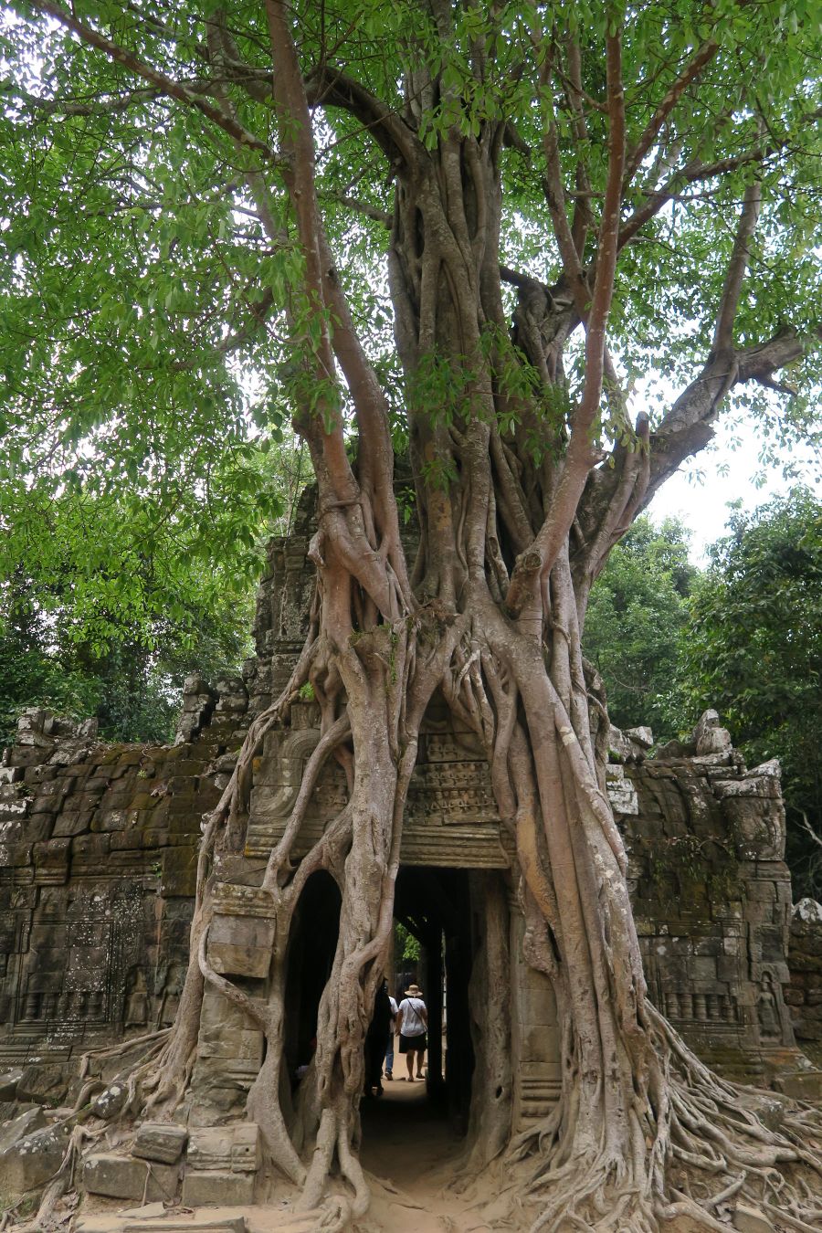 塔逊寺（Ta Som）是柬埔寨吴哥地区的一座小型寺庙，建于12世纪国王阇耶跋摩七世（Jayavarm