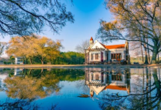 上海共青森林公园景点图片