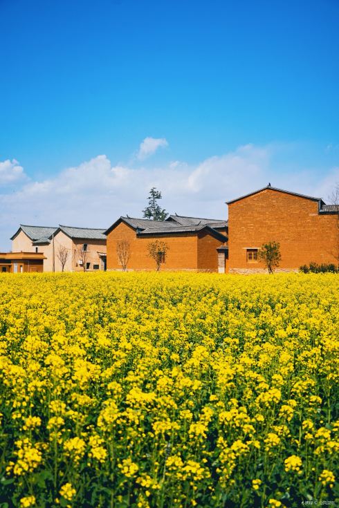 华侨城卧龙古渔村