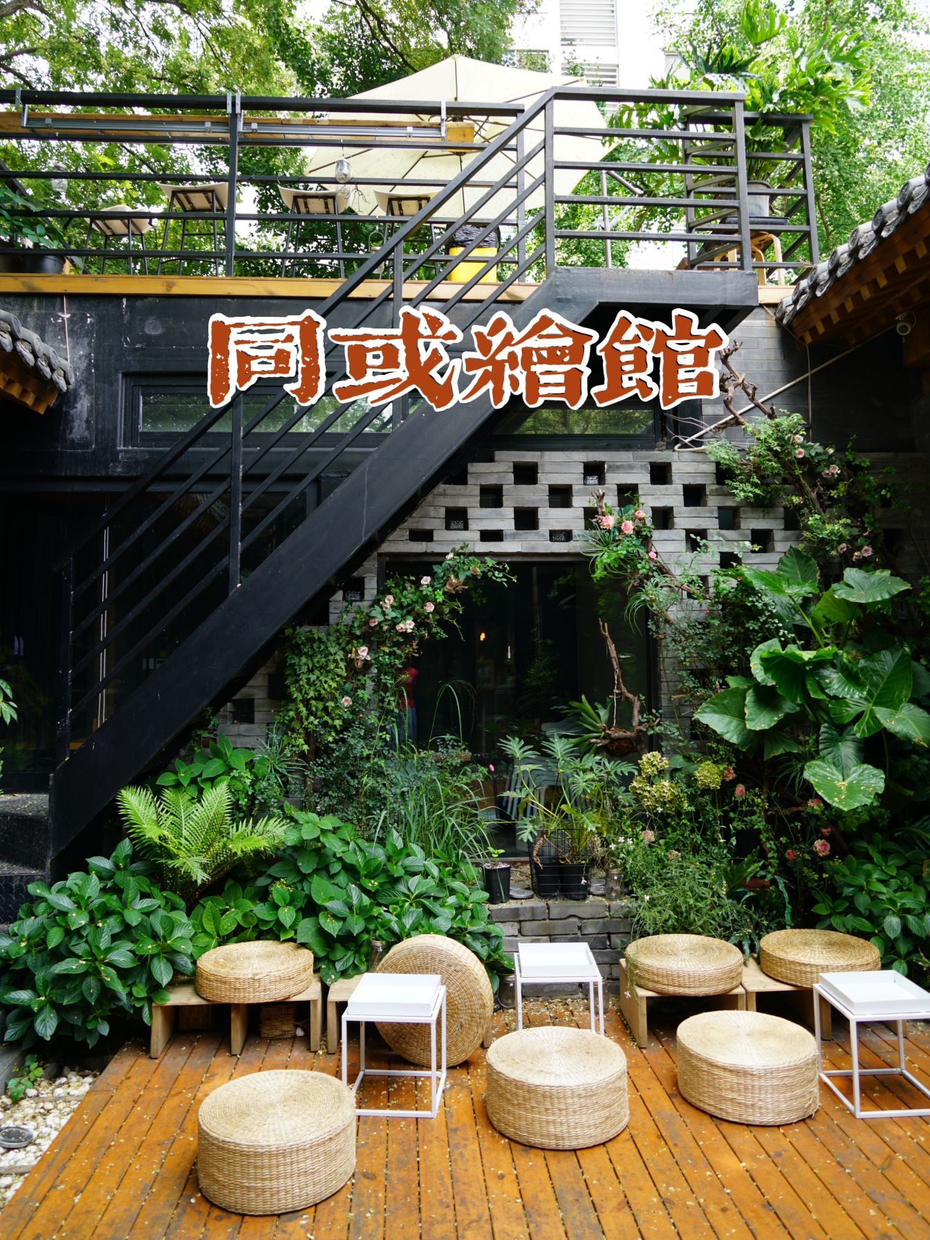 院儿饭店餐厅图片