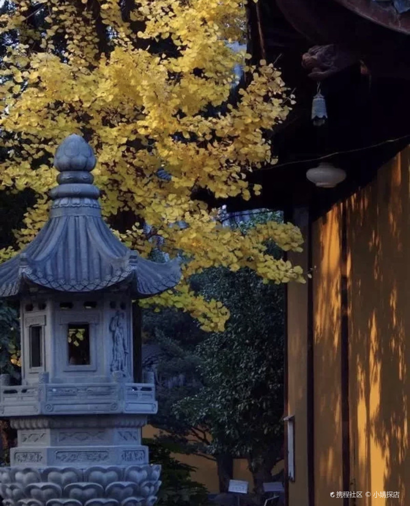上海｜龙华寺攻略🏯