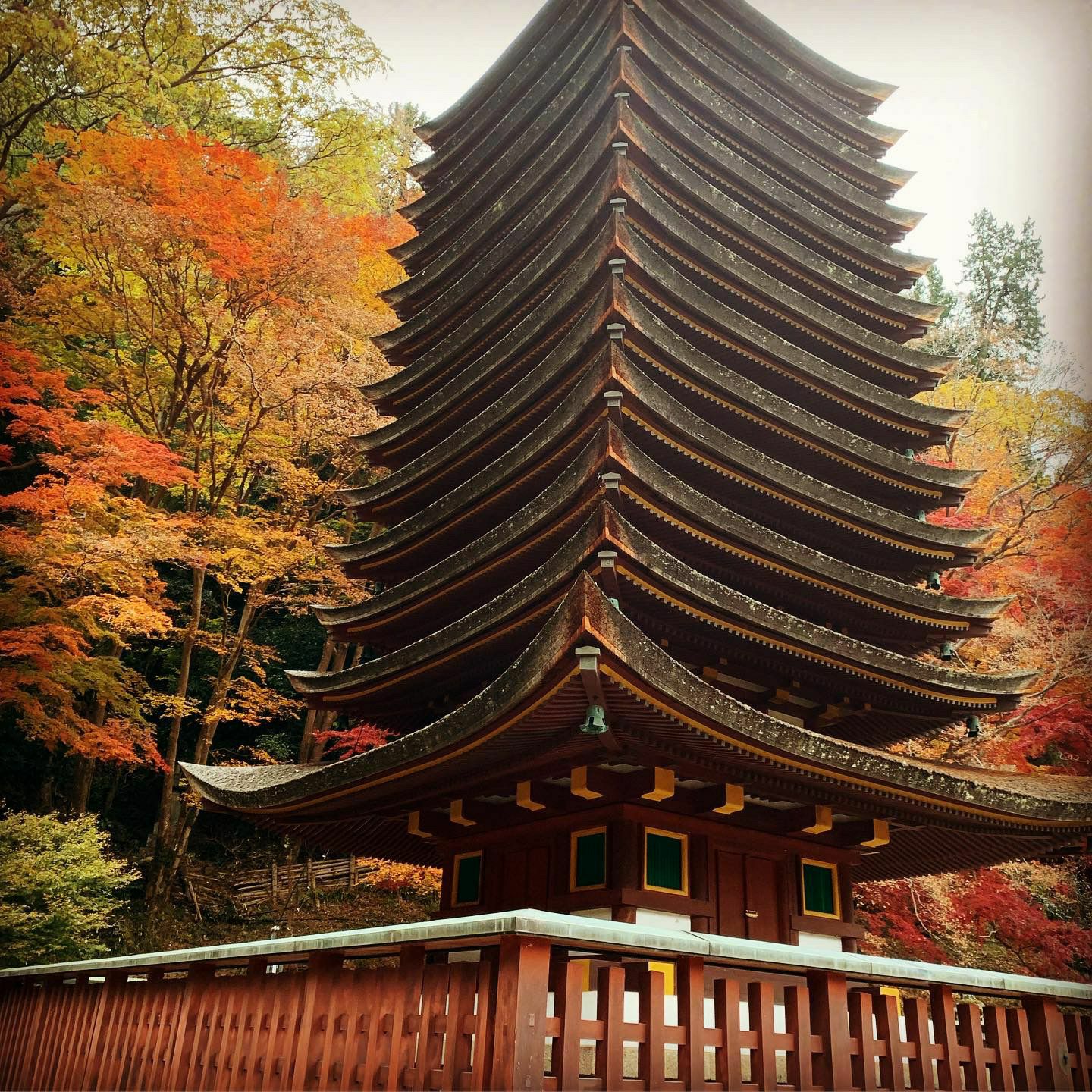 推荐!奈良公园周边红叶之美：谈山神社