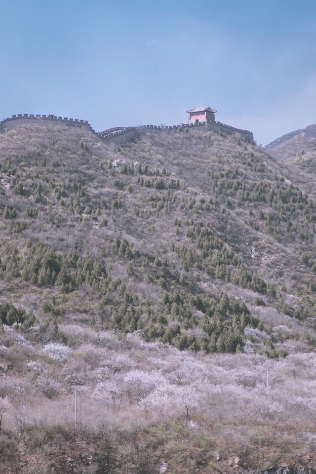 居庸关下的花海列车位于北京昌平区关沟风景区,自从2016年"开往春天的