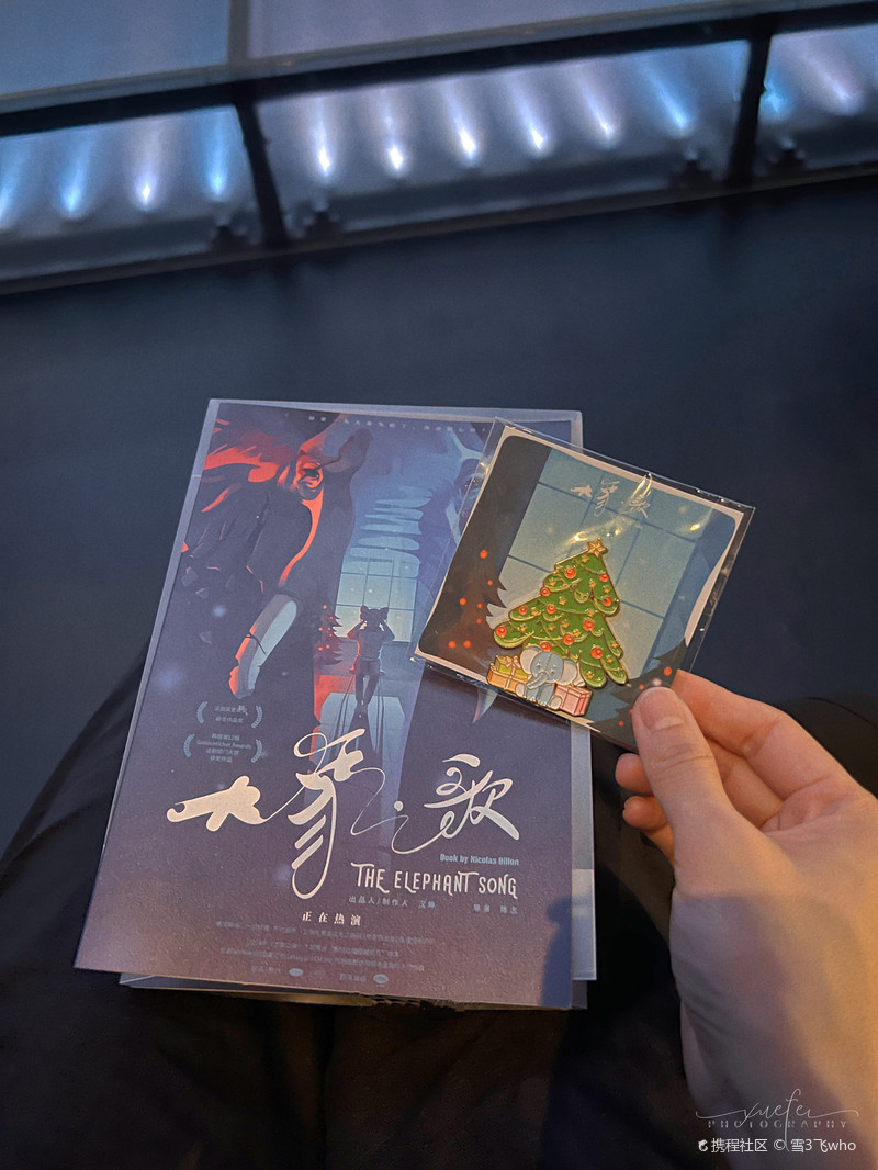 法国“莫里哀奖”作品《大象之歌》中文版来啦‼️