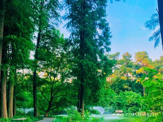 岳阳楼区南湖公园