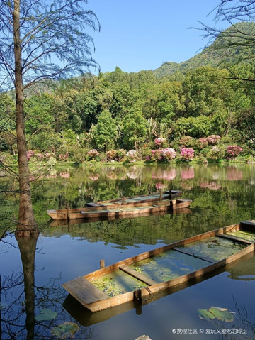 深圳仙湖植物园