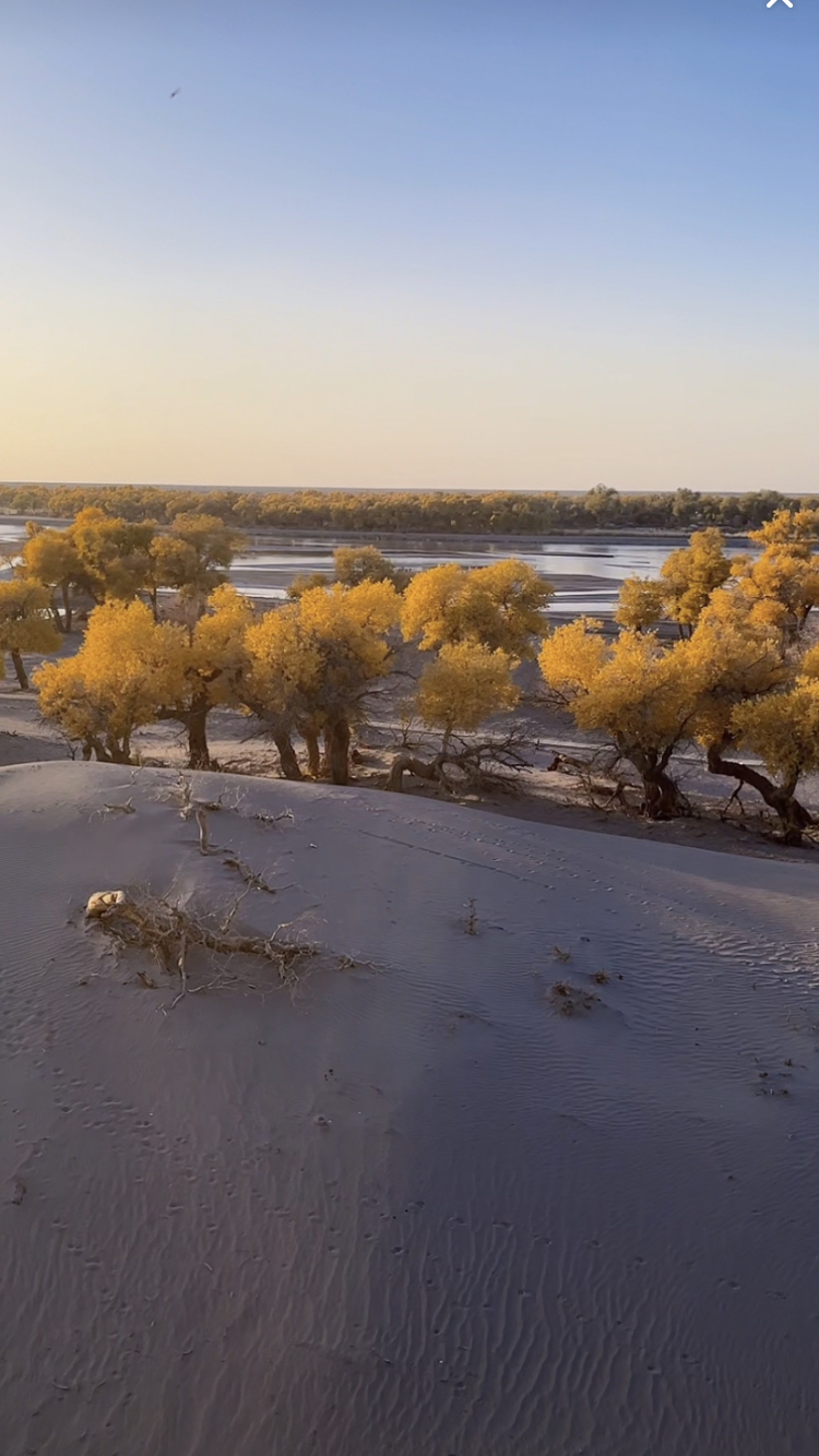 大漠戈壁，落日余晖，依偎河流，组成一幅旷世巨作！大地的怀抱，让无数的思念穿越期间！ #这里的风景美如