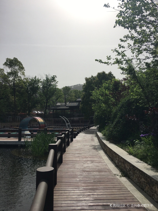 绚烂夺目的烟花之夜_武汉野村谷景区玩法