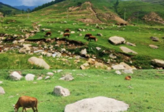 荷叶坪景点图片