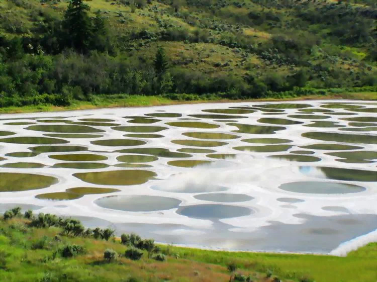 斑点湖～加拿大  一年内湖水颜色会不断变化，所以无论你什么时候去都能看到漂亮的色斑。