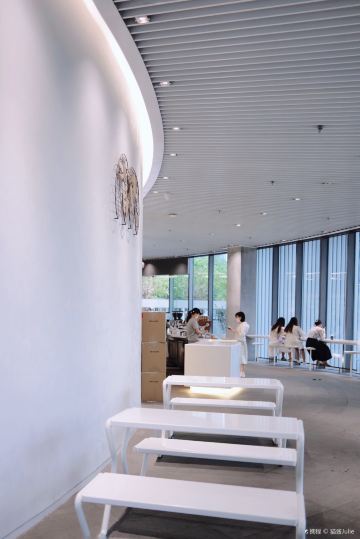 Gallery 4