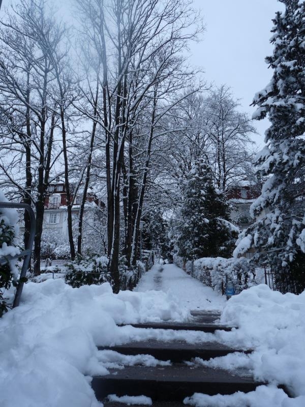 雪景