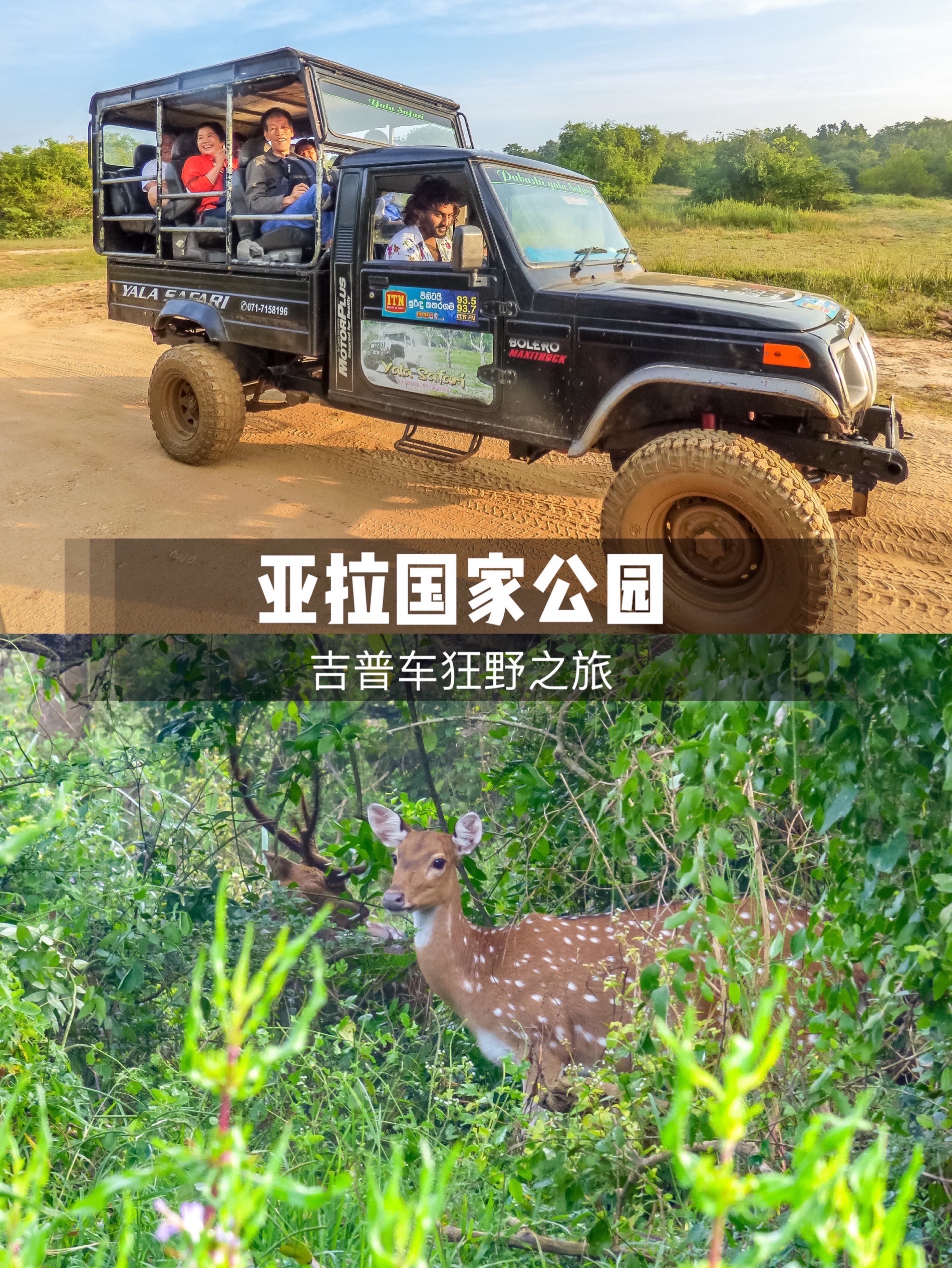 斯里兰卡吉普狂野之旅，体验不一样的大自然