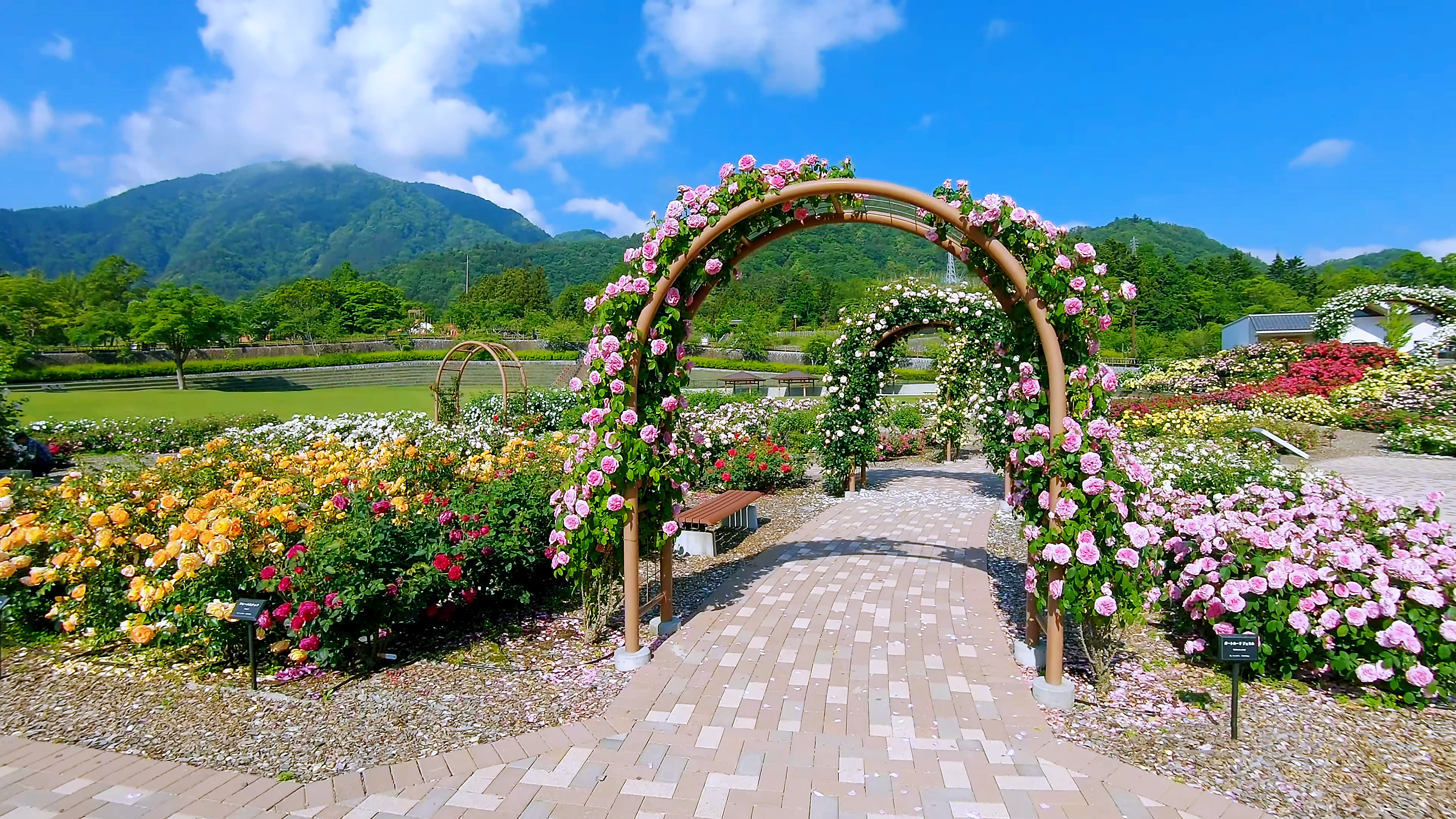 山梨县的美丽大花园：富士川工艺公园