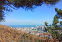 凤凰山公园景点图片