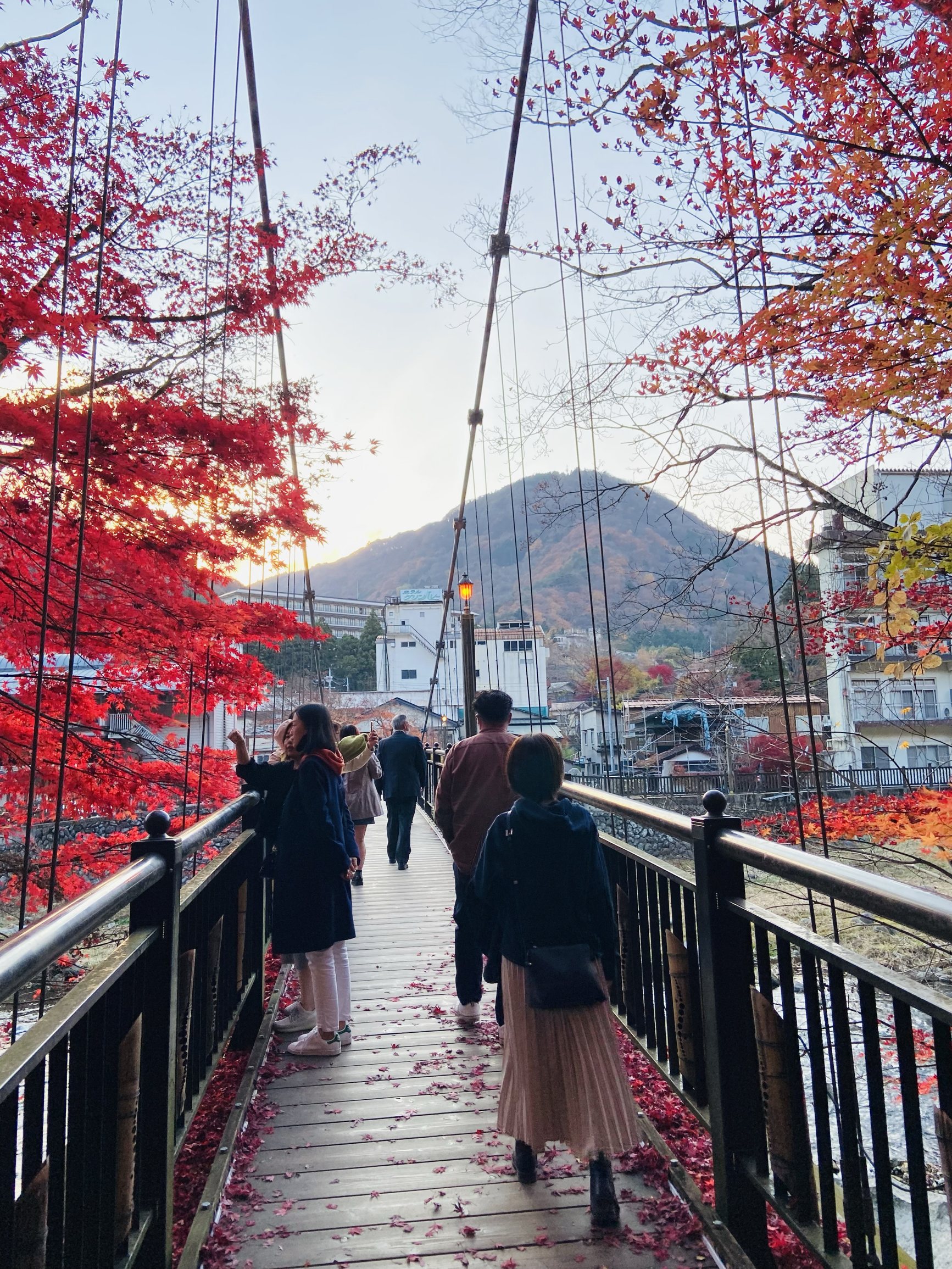 紅の吊橋