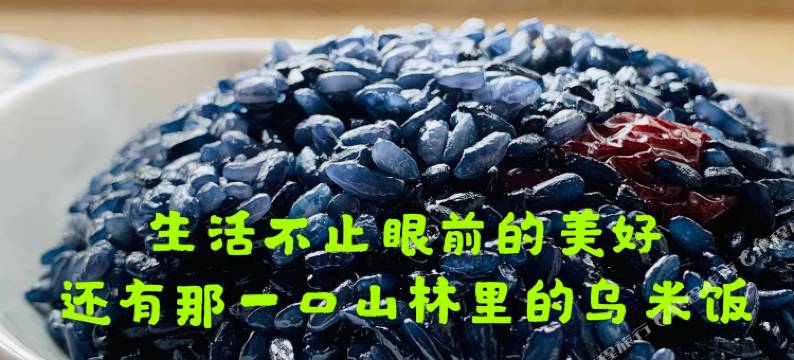 莫干山窝里乡民宿图片