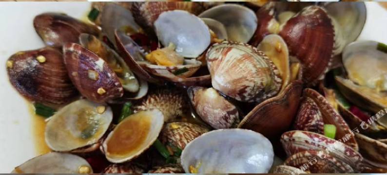 桃花岛云水间民宿图片