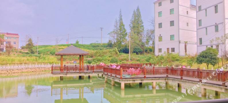 磐安圃舍民宿图片