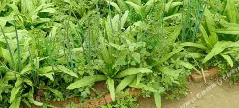 甘泉连姐窑洞民宿图片