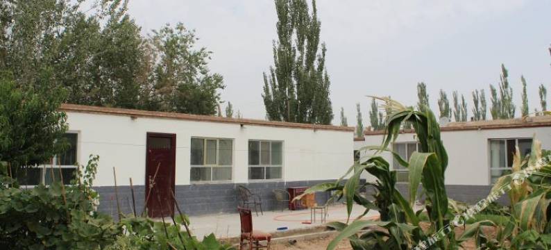 额济纳旗阳光客栈图片