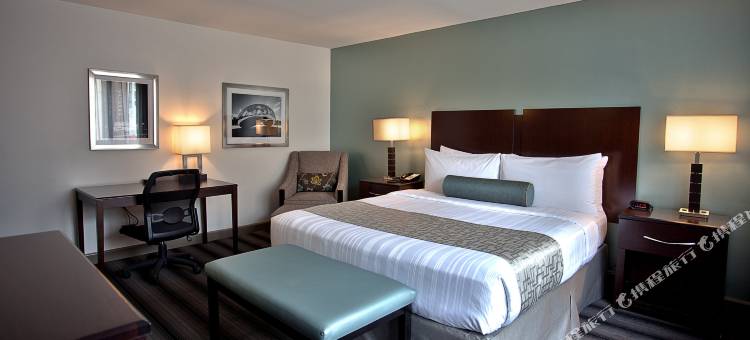 北河贝斯特韦斯特酒店(Best Western River North Hotel)图片
