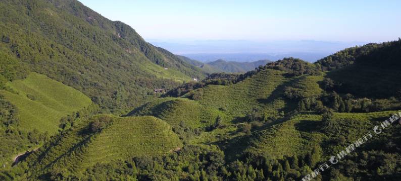 衡山清泉山庄图片