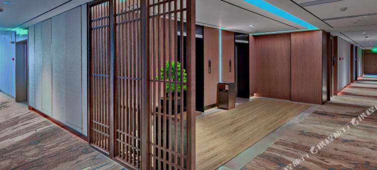 戴斯精选温德姆酒店(珠海情侣北路唐家古镇店)图片