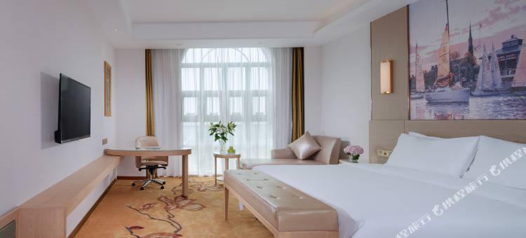 维也纳国际酒店(吴川店)图片