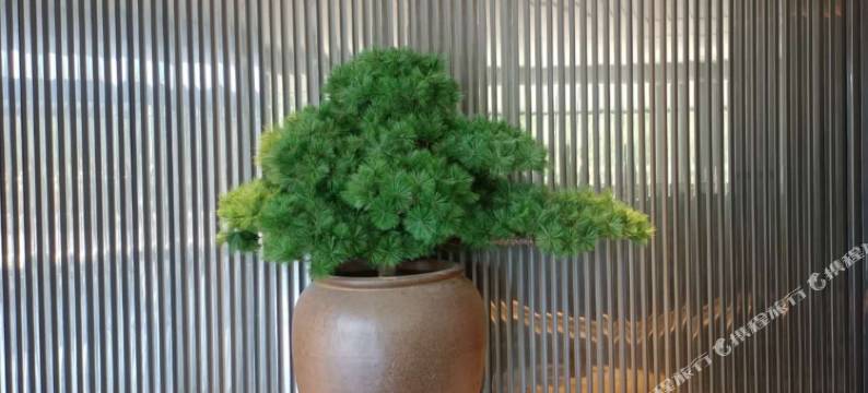 全季酒店(大同市政府博物馆店)图片