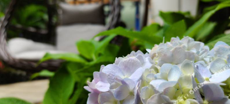 大理•湛蓝丨BLUESKY•SERENITY雅宿(大理古城南门店)图片