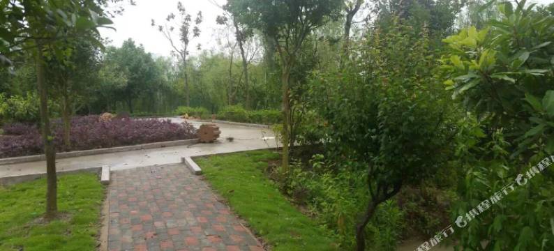 舒城恒宏生态大酒店图片